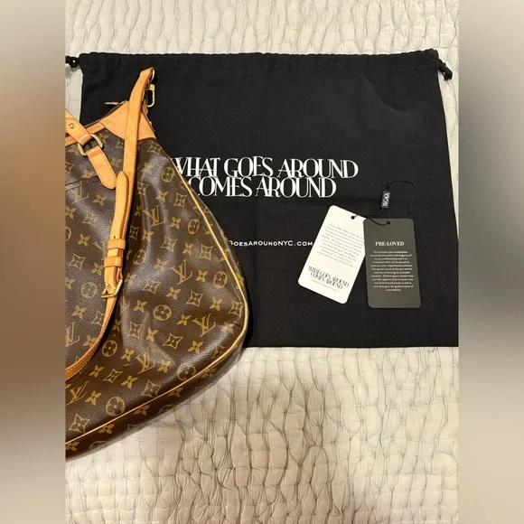 LOUIS VUITTON
Monogram Canvas Odeon GM - Picture 15 of 16